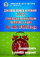 Декларационная компания 2022